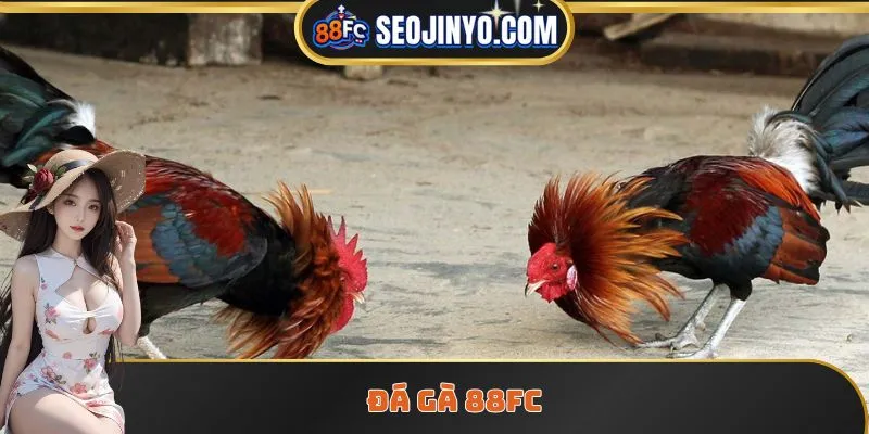 Đá gà 88FC